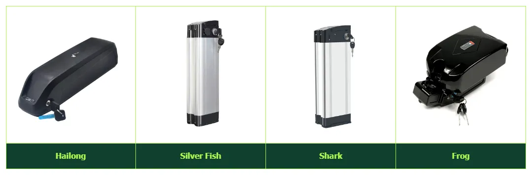 Hailong, Silver Fish, Shark, Frog eBike Battery