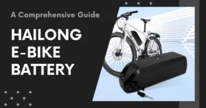 Hailong eBike Battery_A Comprehensive Guide